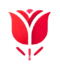 Tulip Decor